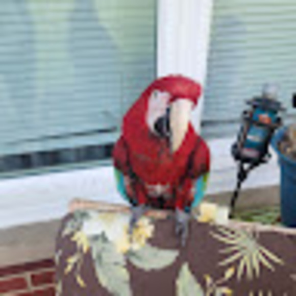 Meet your Posher, Cheri - Picture 1 of 1